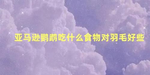 亚马逊鹦鹉吃什么食物对羽毛好些