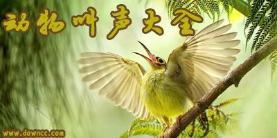 所有动物叫声大全mp3-动物叫声mp3-各种动物的叫声音频下载