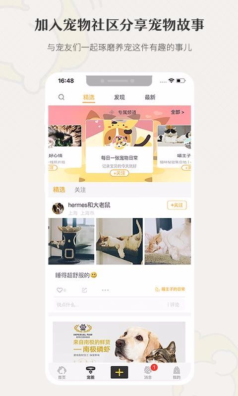小狗在家宠物寄养