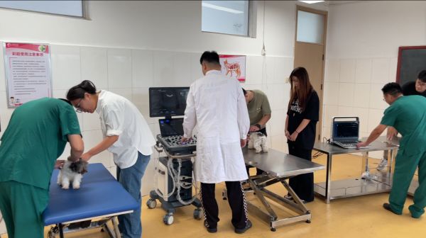 点击查看原始图片
