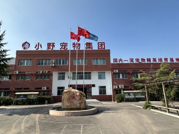 点击查看原始图片