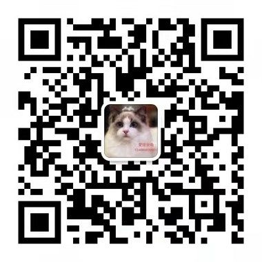 家养宠物猫狗