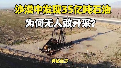 沙漠中发现35亿吨石油，相当于我国7年进口量，为何无人敢开采？