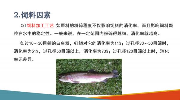 水生动物食性及消化生理水生动物对营养物质摄取消化与吸收PPT课件