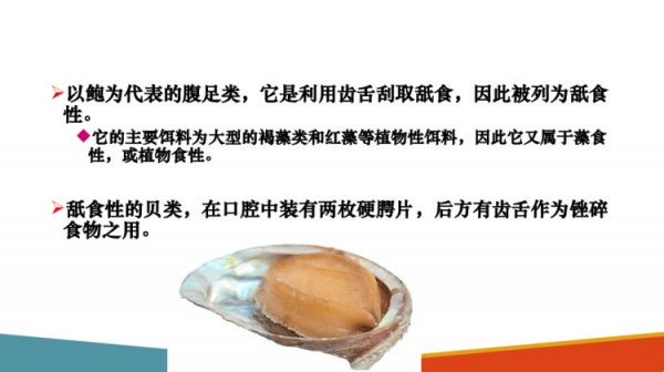 水生动物食性及消化生理水生动物食性PPT课件