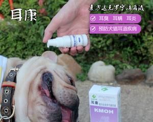 治疗猫咪中耳炎的药物（宠物健康必备）