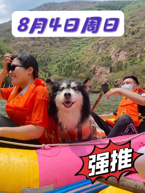 本周日携宠漂流，欢迎喜欢狗狗的宝子来撸狗。欢迎有狗狗，或者想有狗狗的宝子们参加#携宠出游 #夏天带狗狗们去游泳吧 #狗狗 #漂流 #狗咖