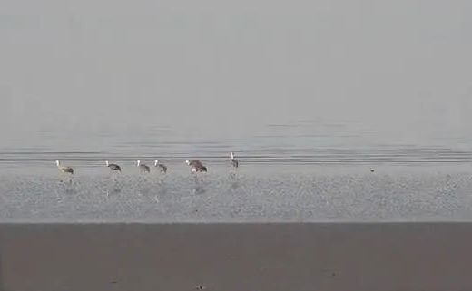 微信图片_20220505071107.png