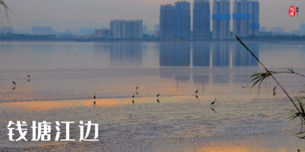 微信图片_20220505071012.png