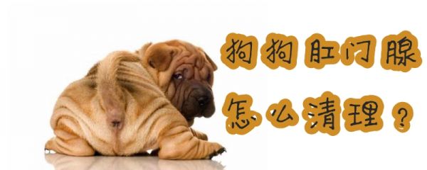 狗狗肛门腺怎么清理