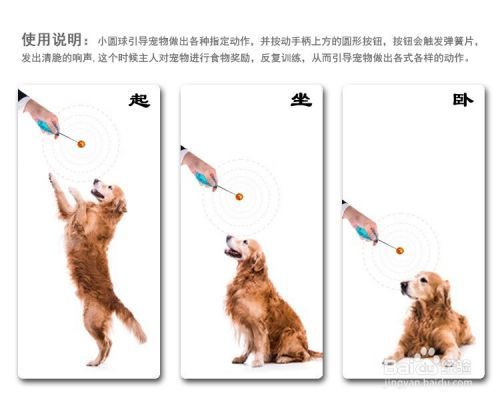 宠物指挥官：[2]如何训练狗狗追逐引导球