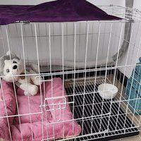 【憨憨宠】狗笼猫笼大揭秘！便携折叠，让爱宠有个舒适的家