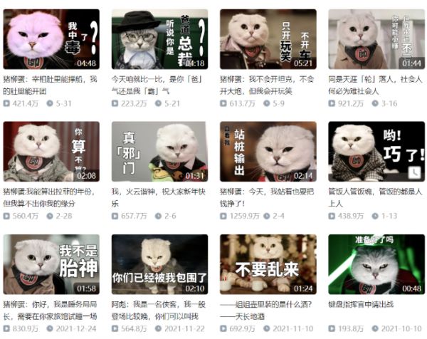宠物市场两大新趋势,「冷门」成就「热爱」