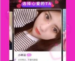宠物花园俱乐部
