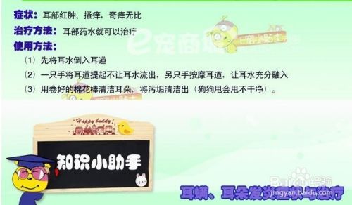 怎样给狗狗清洗耳垢（狗狗耳朵的护理常识）