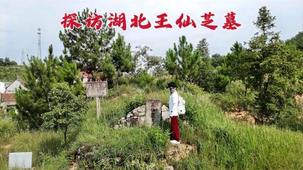 探访王仙芝墓,他和黄巢共同反抗唐朝,1146年后墓地现状如何?