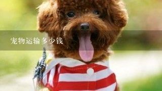 宠物运输多少钱