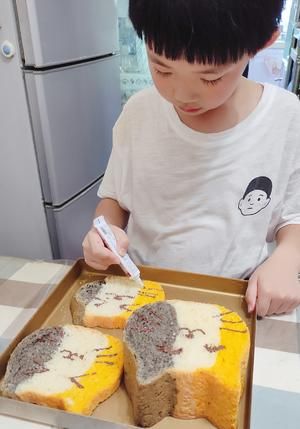 猫咪吐司无糖版的做法 步骤7