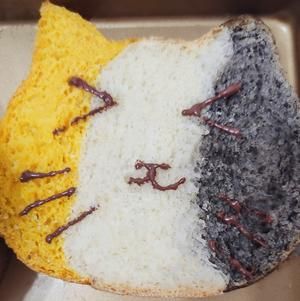猫咪吐司无糖版的做法 步骤8