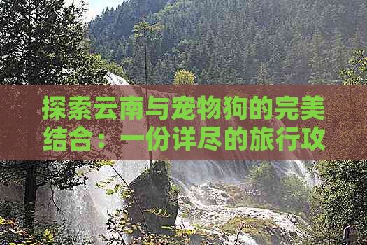探索云南与宠物狗的完美结合：一份详尽的旅行攻略