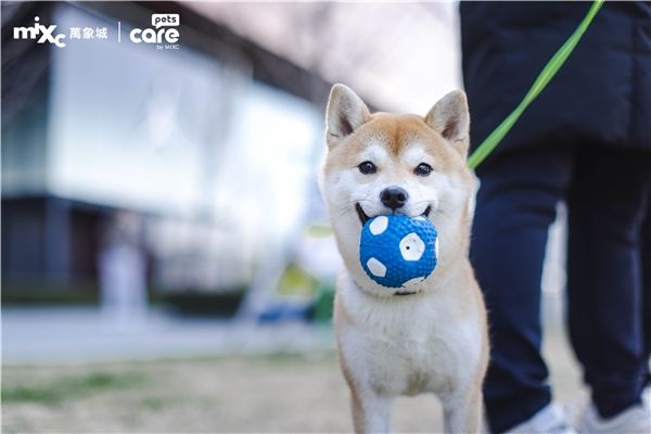 　　(来源：新视线)