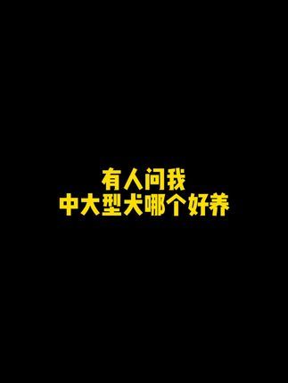 二狗聊宠物:其实梗类犬都挺好的,就是长相你们可能难接受#狗狗 #二狗挑狗 #宠物知识 @抖音小助手
