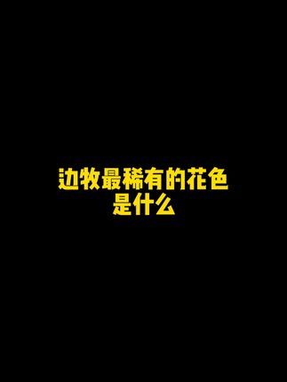 二狗聊宠物:一个是年龄太小还没长开,一个是确实便宜#边牧 #二狗挑狗 #狗 #宠物知识 @抖音小助手