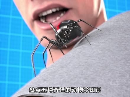 动物冷知识:被抹香鲸吞了会发生什么?猫真的摔不死吗? #知识科普 #动画科普 #神奇动物在抖音