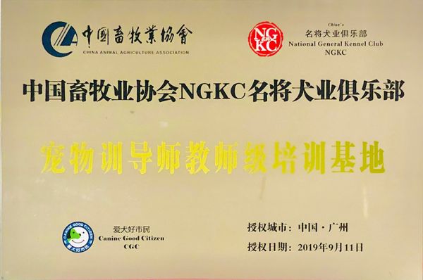 宠物训导师教室培训基地