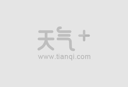 宠物粮十大品牌排行榜 宠物主粮品牌有哪些
