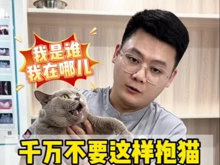 ‼️千万不要这样抱猫,真的很伤猫#养猫经验分享 #科学养宠攻略 #养猫人