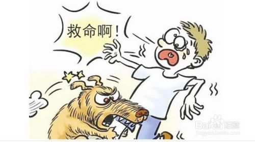 怎么防止被狗咬？