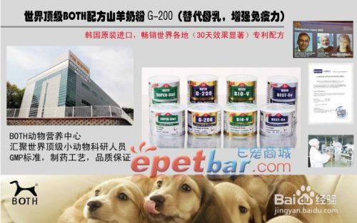 狗狗怀孕需要注意什么