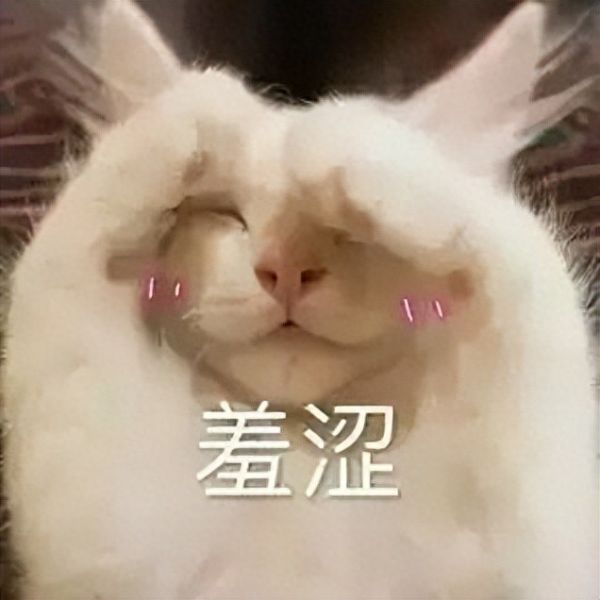 猫怀孕几个月生产?猫咪孕期护理措施