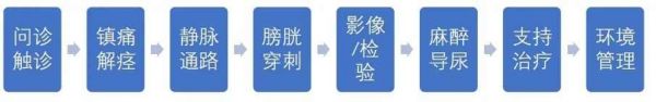 听课笔记 | 季玲西：猫尿闭管理三要点——第十一届中国兽医大会宠物猫科专场