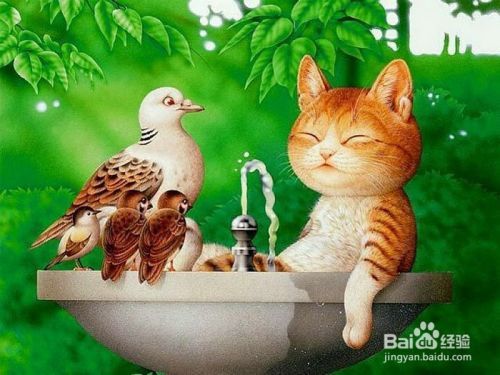 如何与猫咪更好的相处