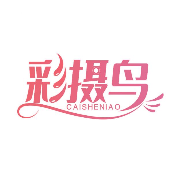 彩摄鸟