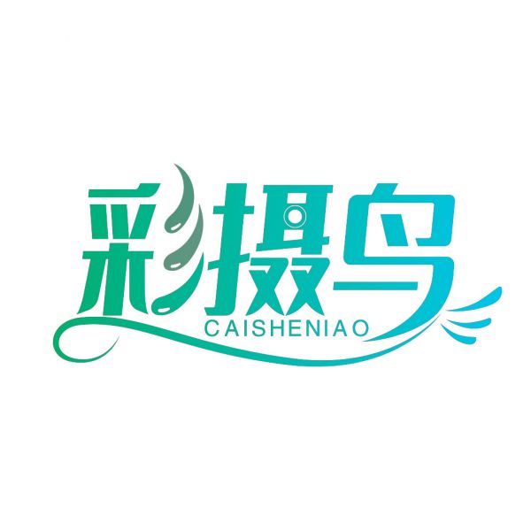 彩摄鸟