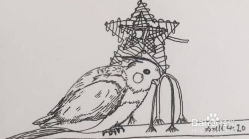 彩铅画教程之玄凤鸟