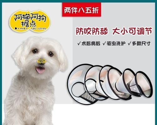 狗狗绝育后咬人该如何应对（宠物绝育后注意事项及预防措施）