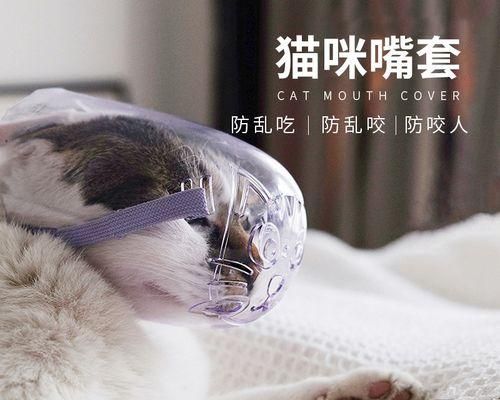 小猫三点叫唤的原因及处理方法（宠物养护之如何应对小猫的叫声）