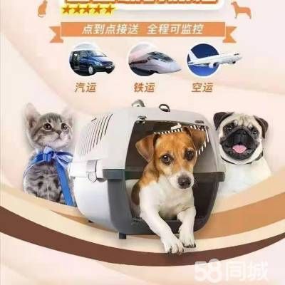 店主头像