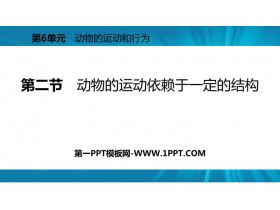 《动物的运动依赖一定的结构》PPT课件下载
