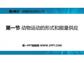 《动物运动的形式和能量供应》PPT免费课件