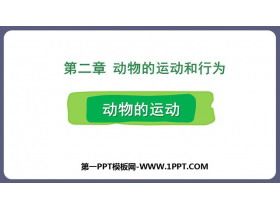 《动物的运动》PPT优秀课件