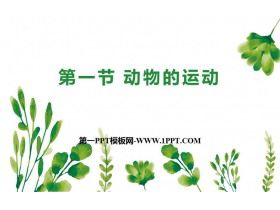 《动物的运动》PPT优质课件