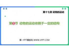 《动物的运动依赖一定的结构》PPT免费课件