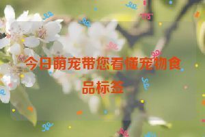 今日萌宠带您看懂宠物食品标签