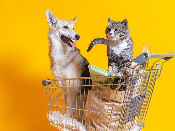 用于宠物食品行业的在线产品质量检测