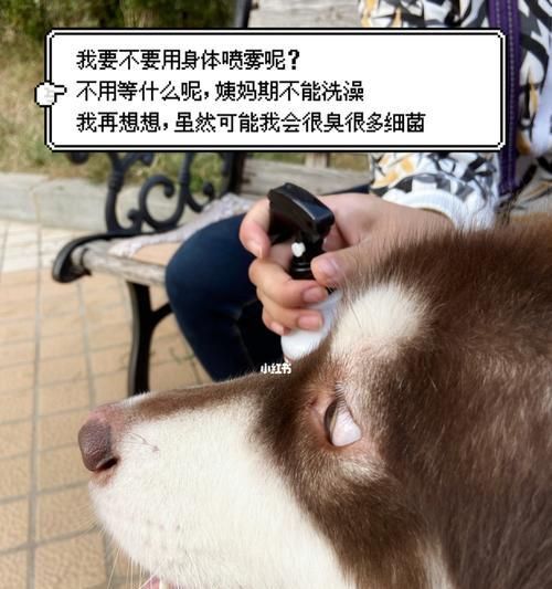 为什么狗讨厌喷雾（探究狗对喷雾的反感原因）